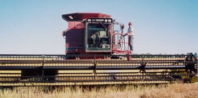 凯斯1680型收获机照片