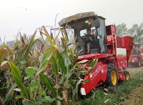 雷沃谷神联手雷沃欧豹 今秋丰收在即