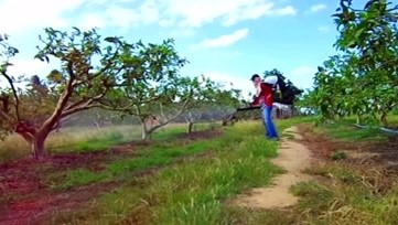 背负式机动喷雾喷粉机