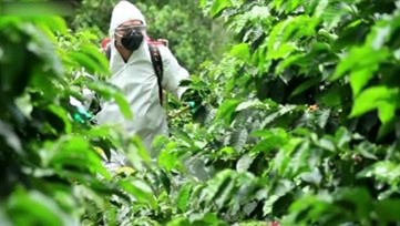 背负式手动喷雾器