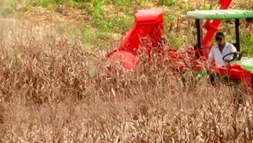 背负式玉米联合收获机