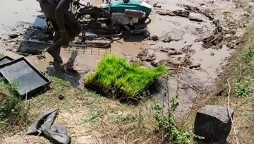 步进式水稻插秧机