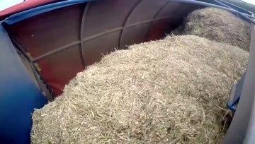 仓式颖壳（谷糠）收集器