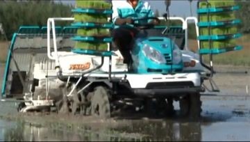 乘坐式水稻插秧机