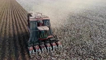 方堆式棉花收获机