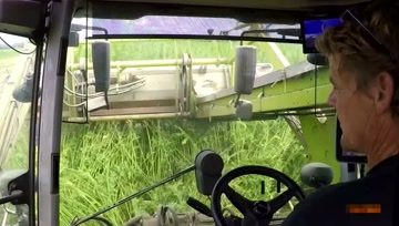 汉麻茎穗兼收收获机