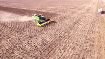 葵花籽收获专用割台