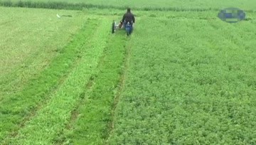 骑乘式割草机