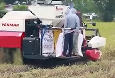 全喂入水稻收割机