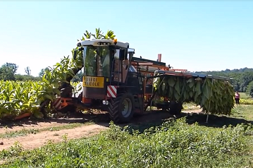 烟草整株收获机