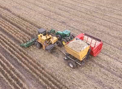 玉米种子收获机