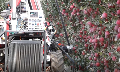 智能苹果采摘平台