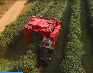 自走咖啡收获机