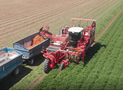 自走式胡萝卜收获机