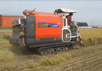 自走式水稻半喂入收获机