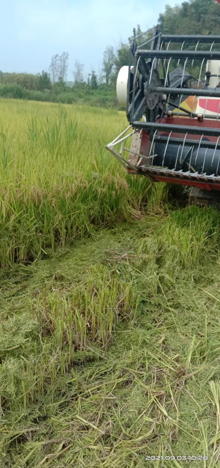 老苏服务日记 2021年9月7号