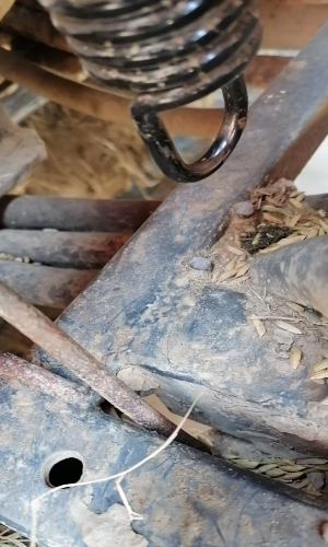 老苏服务日记2021年9月19号