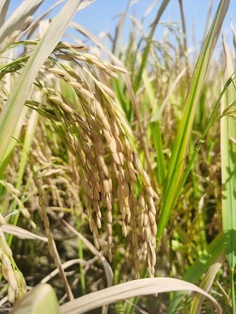 老苏服务日记 2021年9月27号