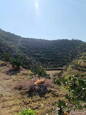 老苏服务日记2021年12月19号