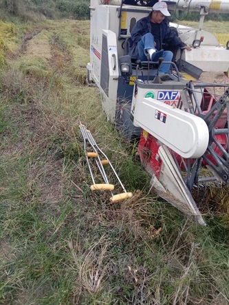 老苏服务日记 2021年10月8号