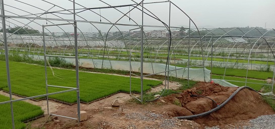 老苏服务日记2022年5月12日