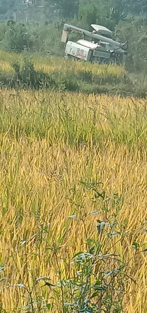 老苏服务日记2022年8月12日