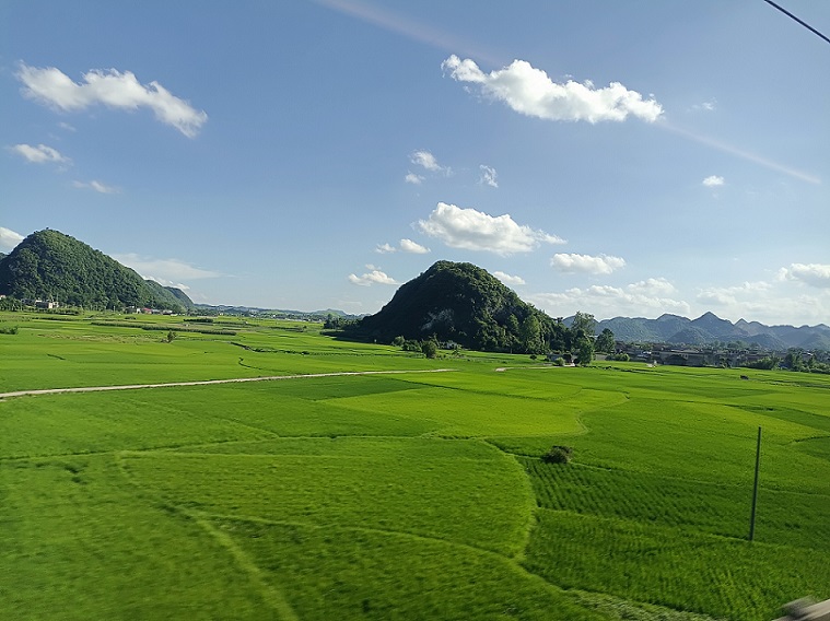 老苏服务日记2022年8月13日
