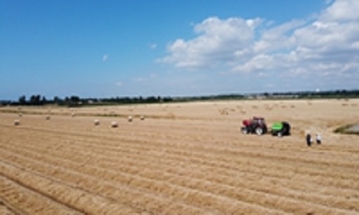 山东莱州：补贴机具让农作物秸秆“起死回生”