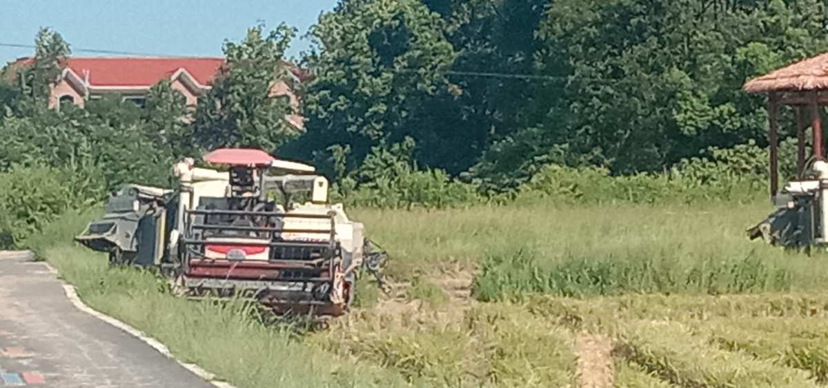 老苏服务日记2022年9月1日