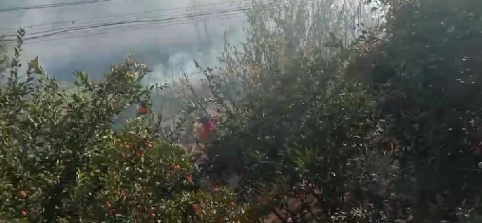 老苏服务日记2022年12月25日