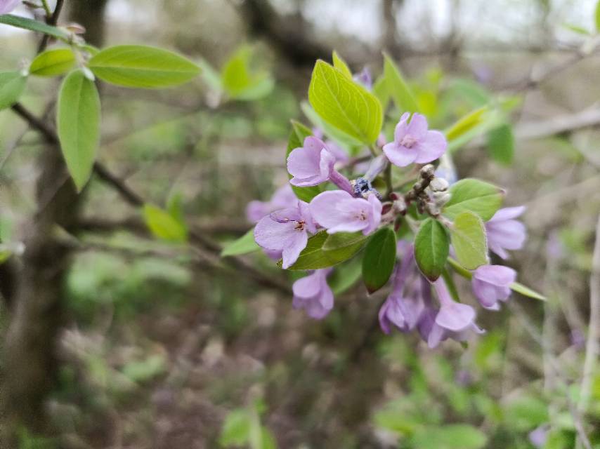 老苏服务日记2023年3月29日