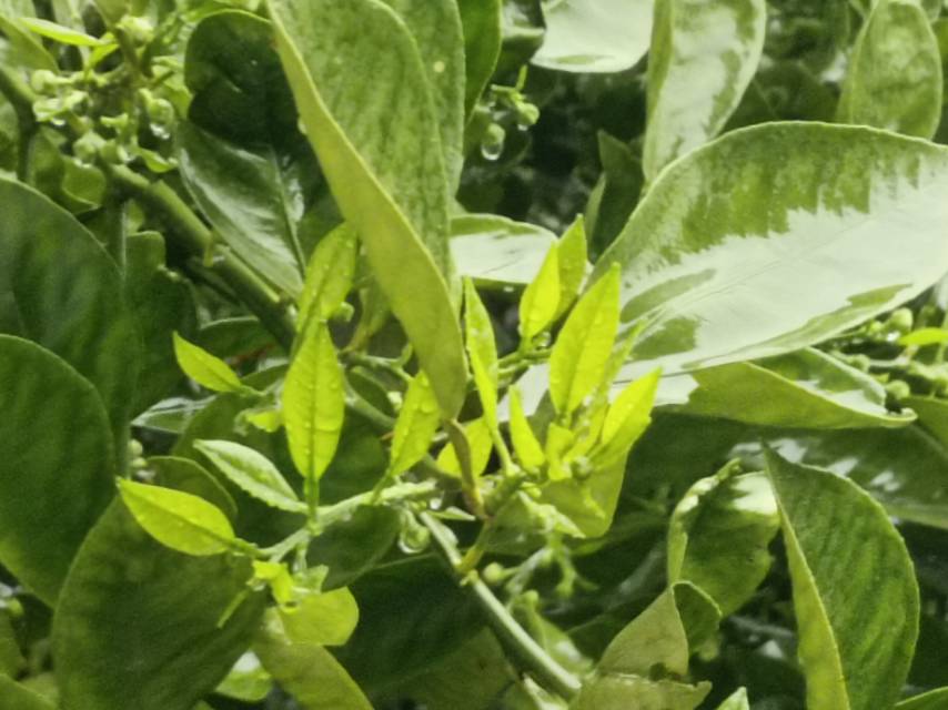 老苏服务日记2023年4月3日