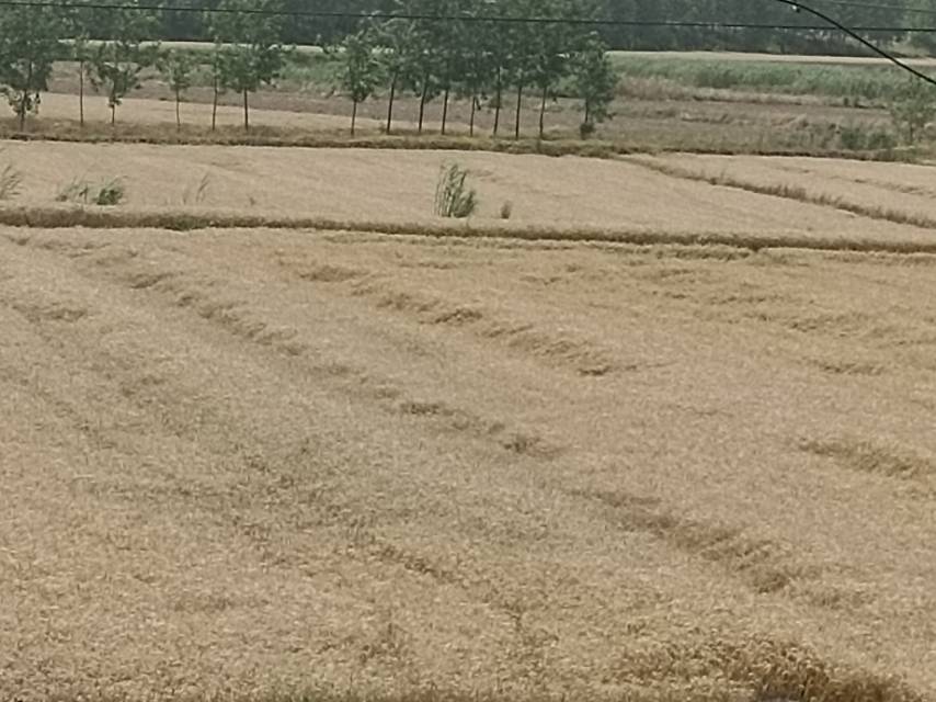 老苏服务日记2023年5月23日