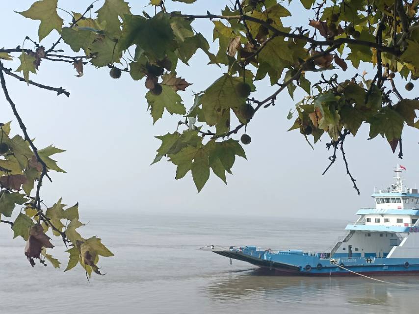 老苏服务日记2023年10月15日