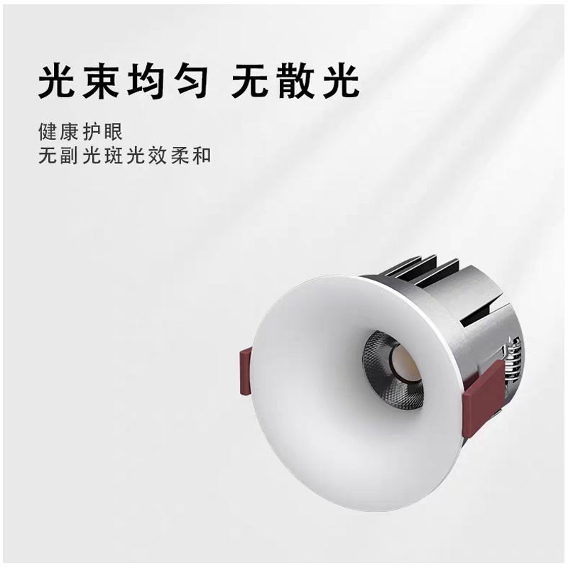S209DM蝙蝠22.jpg