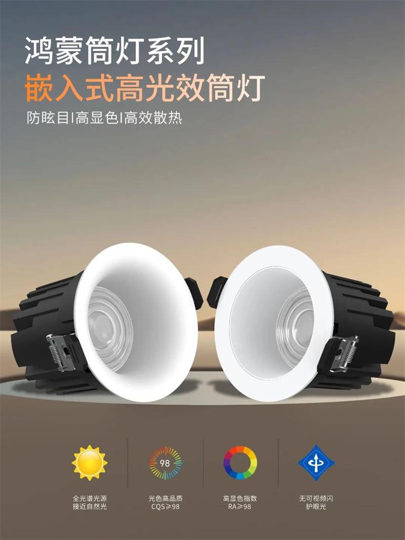 T339YX鸿蒙 弧面筒灯21.jpg
