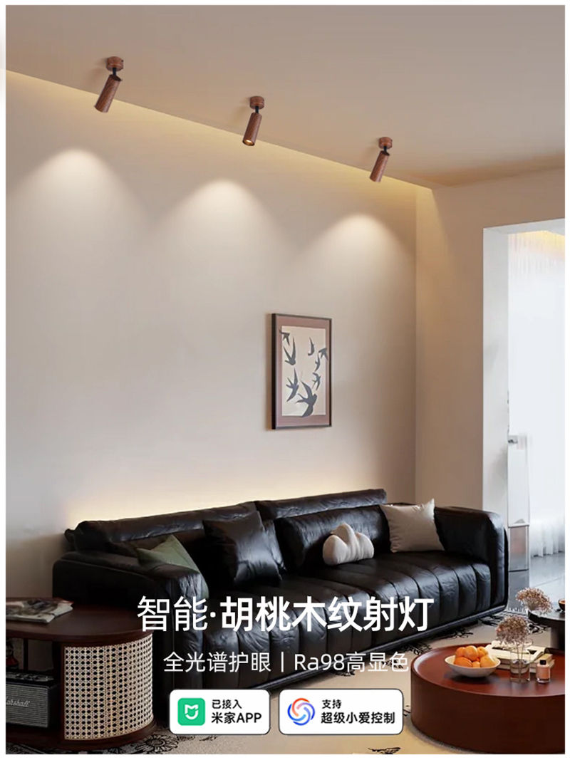 S5037YT艺美 明装射灯11.jpg