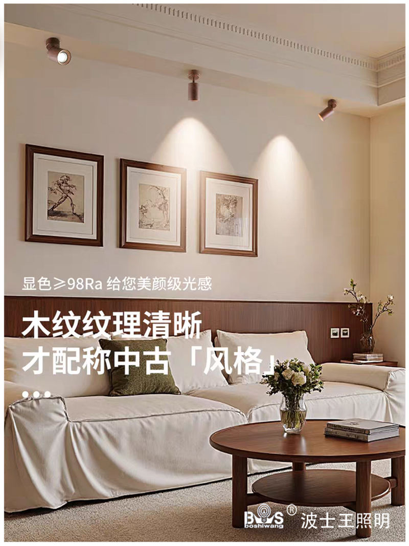 S5041YT万向可调 明装射灯22.jpg