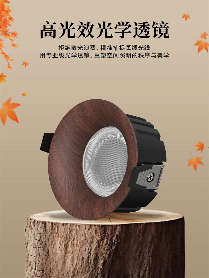 S551YH浪琴 高光效筒灯2.jpg