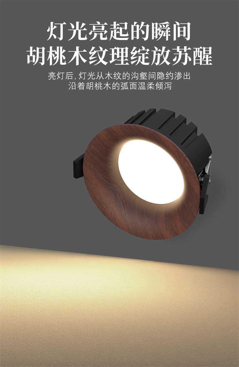 S551YH浪琴 高光效筒灯28.jpg