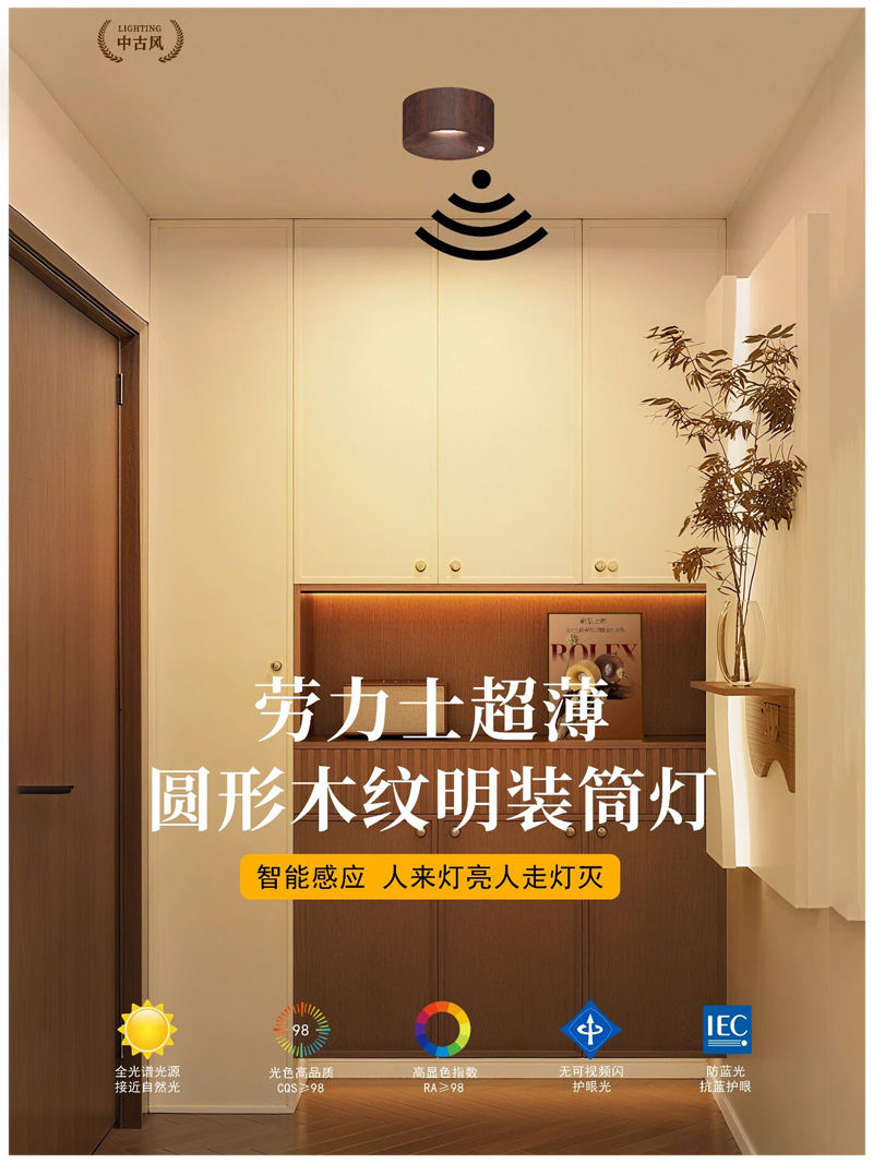 S5054YH劳力士 明装感应 射灯22.jpg