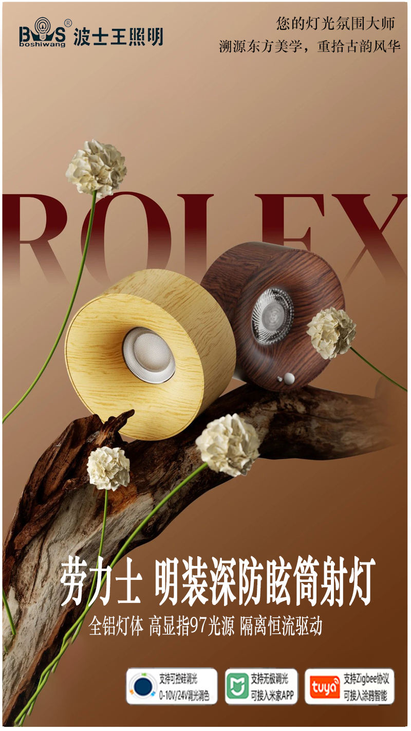 S5054YH劳力士 明装射灯12.jpg