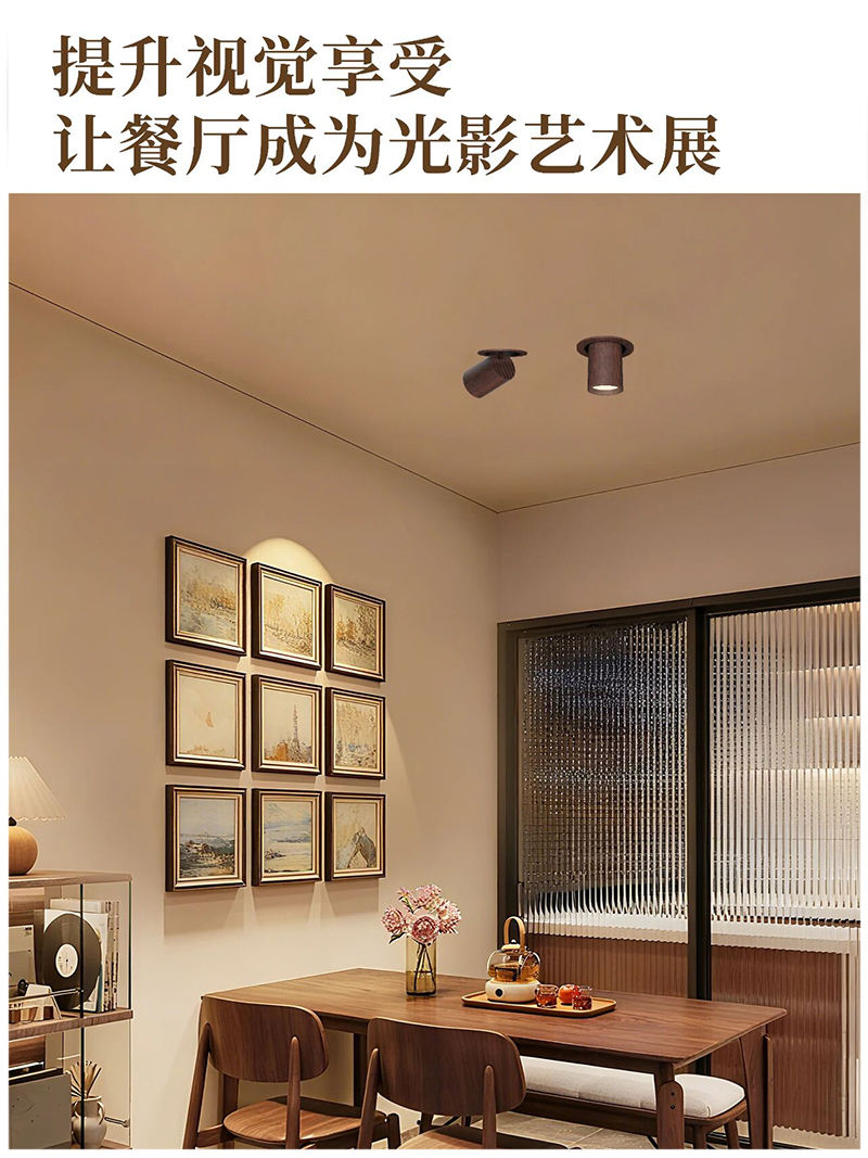 S5058YH鸿蒙 拉伸射灯21.jpg