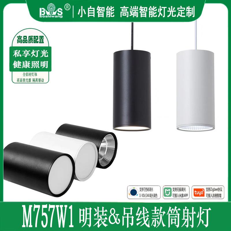 Cloud Zoom small image