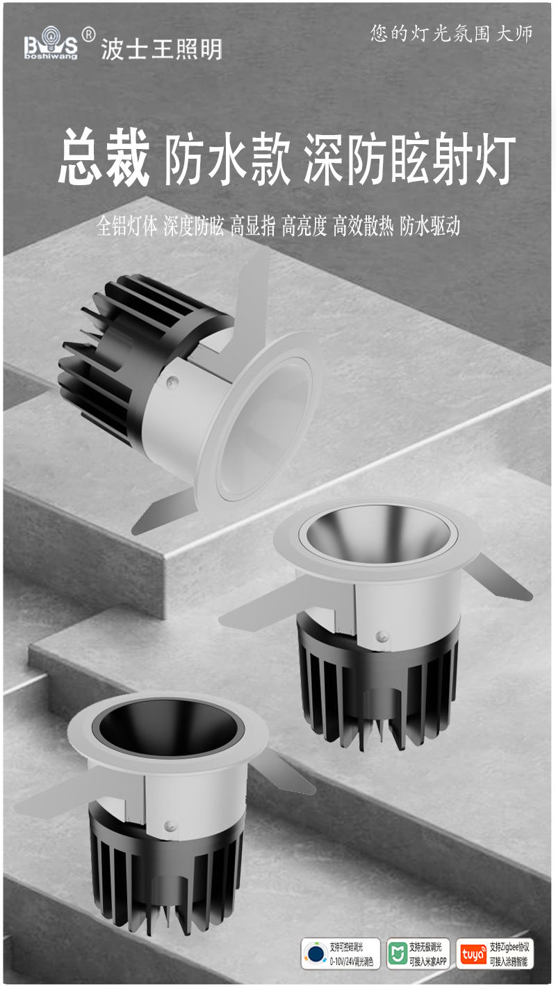 S2103S1总裁 防水射灯1.jpg