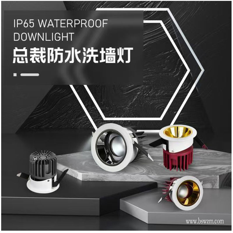 S2103S1总裁 防水射灯333 (1).jpg