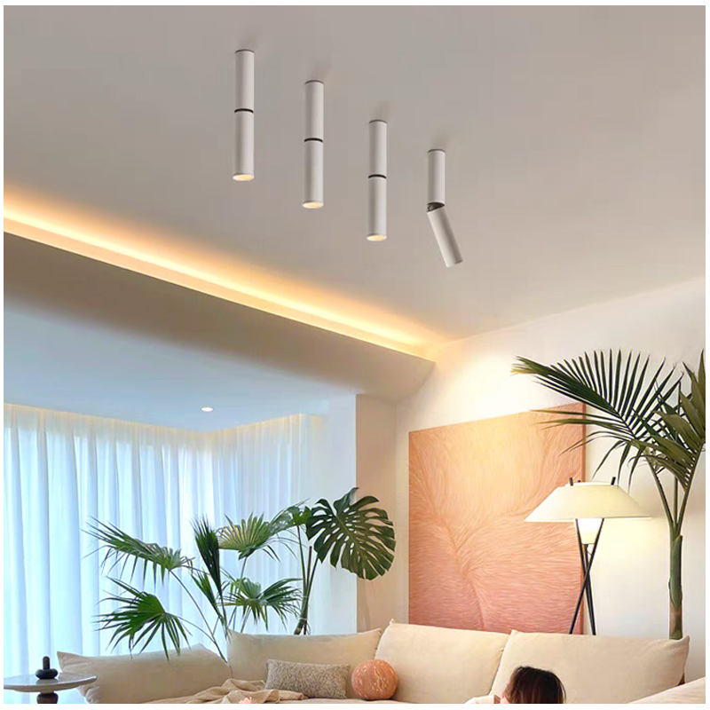 S507L1双节棍 调焦射灯22.jpg