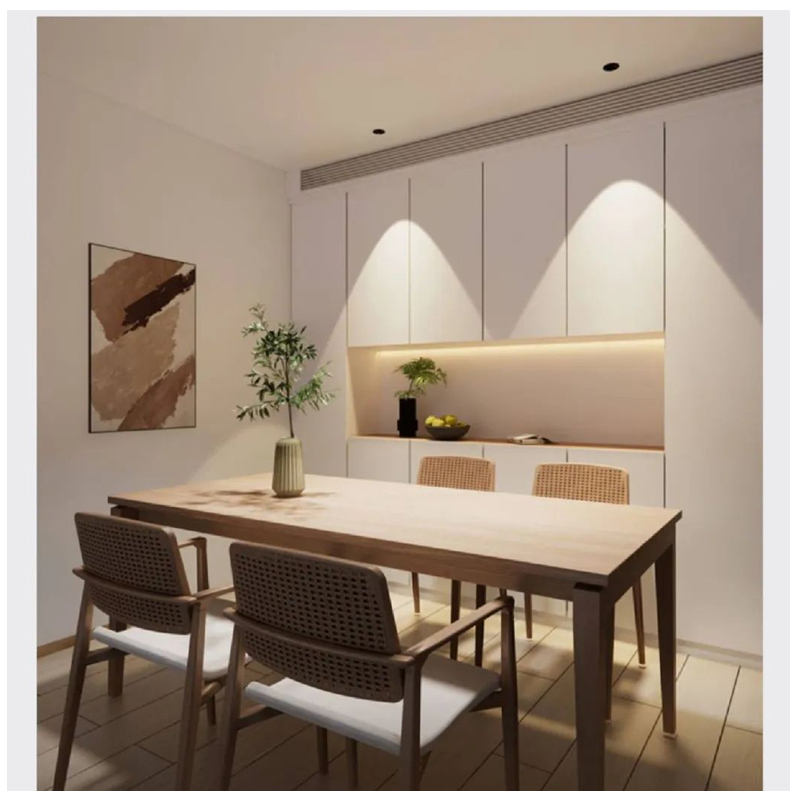 S518PZ江小鱼  调焦射灯11 (1).jpg