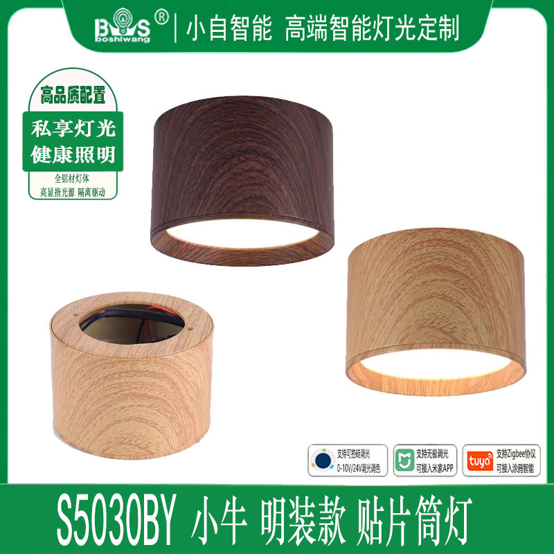 Cloud Zoom small image