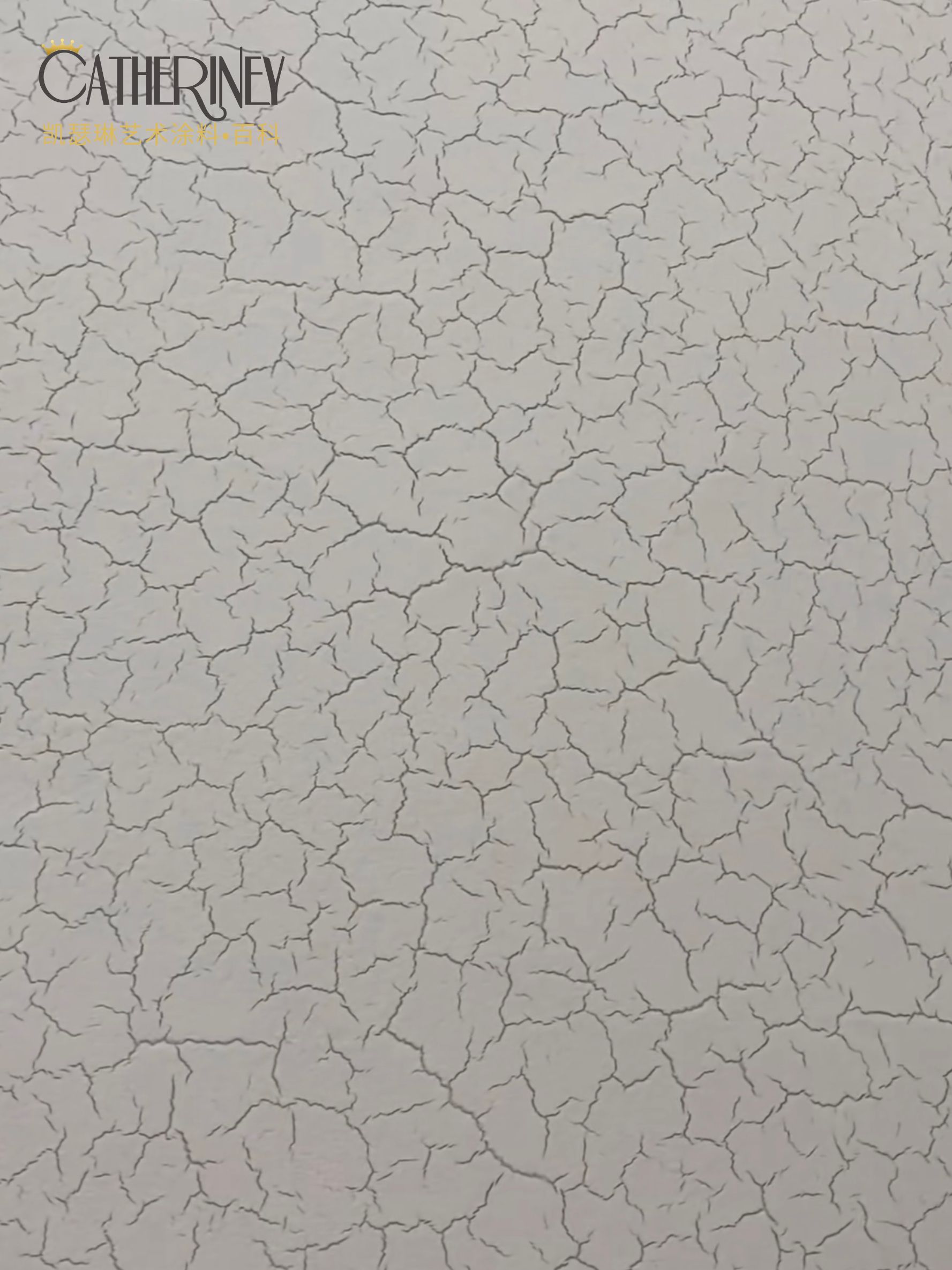 20240109173952_49946.jpg 20240109173952_49946.jpg